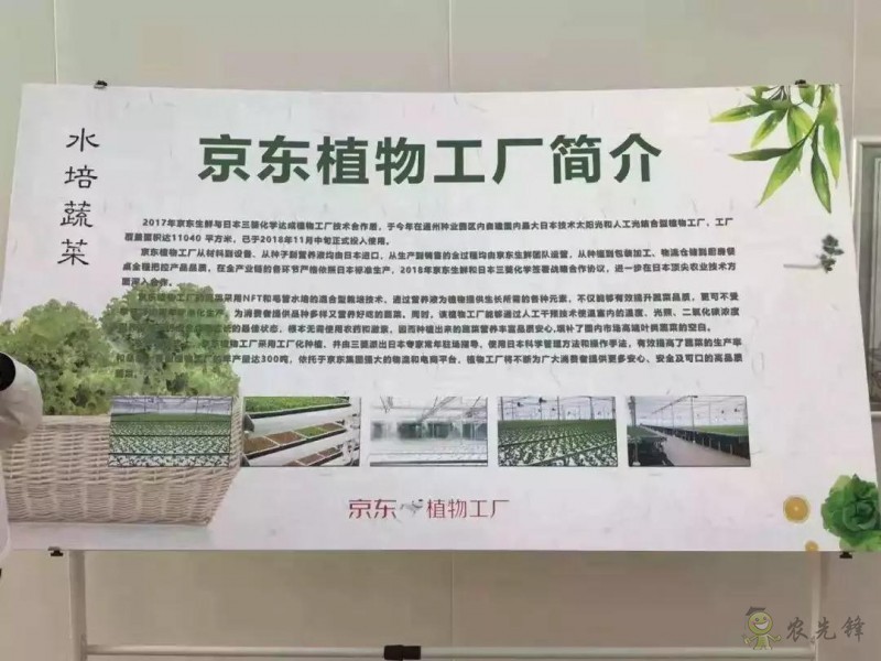 京東的這些“網(wǎng)紅”農(nóng)業(yè)項(xiàng)目,你都知道嗎?
