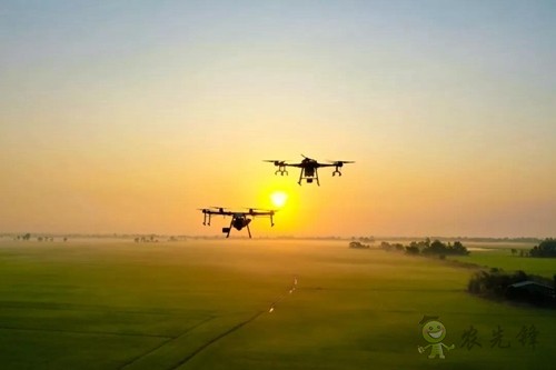 林重意:越南農(nóng)業(yè)植保飛防服務