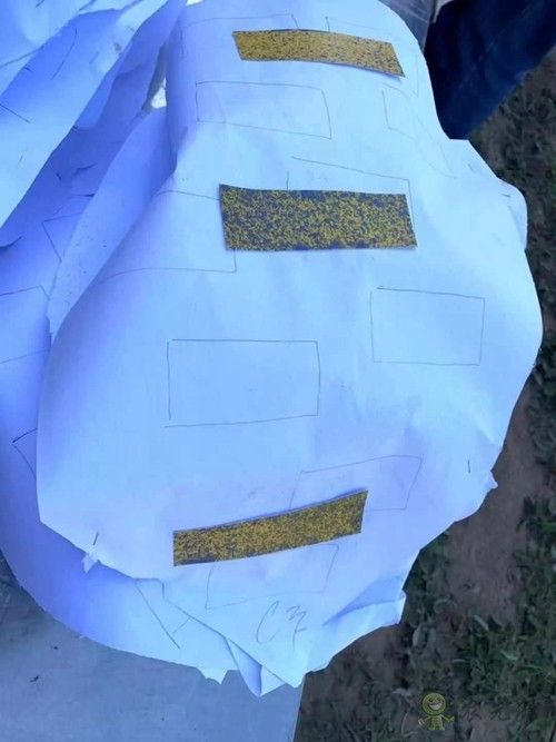 林重意:越南農(nóng)業(yè)植保飛防服務