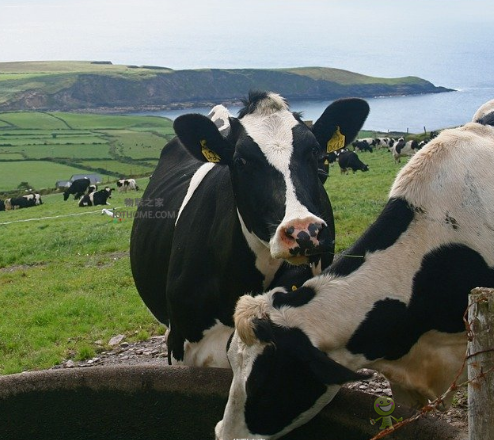 物聯網應用于農業中的好處是什么