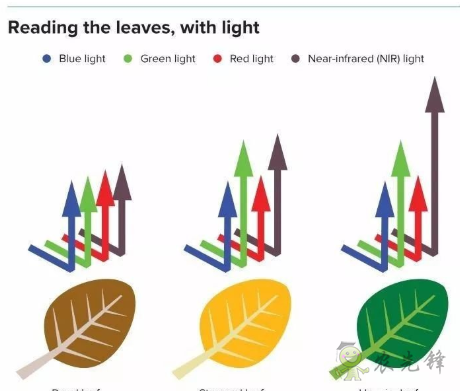 農業(yè)領域中無人機的潛在應用有哪些
