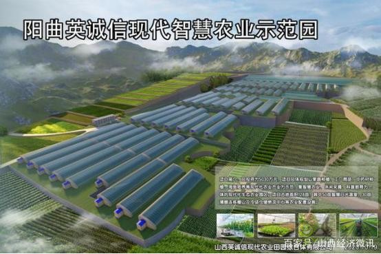 陽曲縣精品農業(yè)是如何打造的？