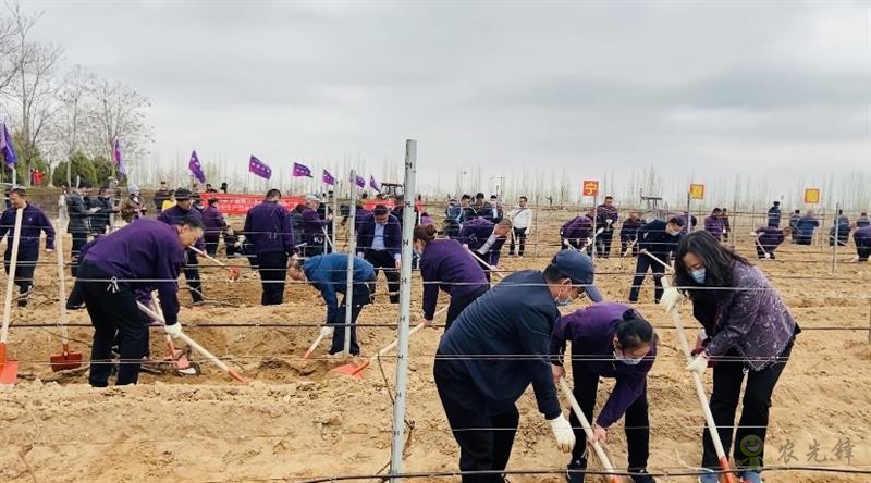 農(nóng)業(yè)展會