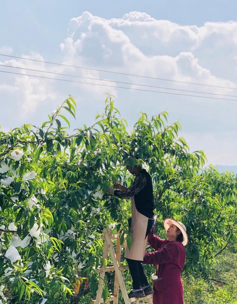 以創(chuàng)建農(nóng)業(yè)國際貿(mào)易高質(zhì)量發(fā)展基地為契機——推動中國農(nóng)業(yè)國際合作邁向新高度