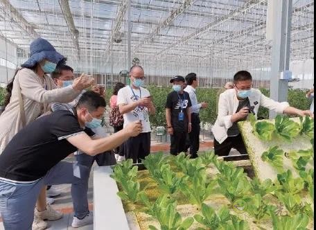 ?鄉(xiāng)村振興，壽光答卷