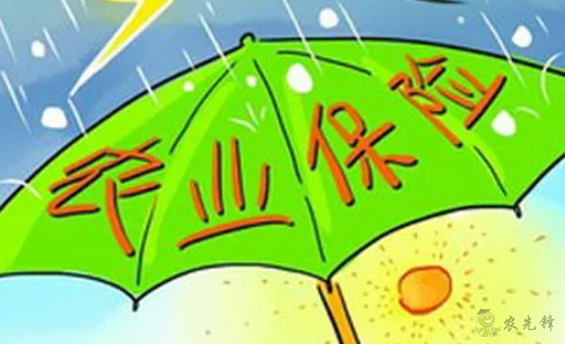 龍文軍：河南特大暴雨突顯農(nóng)業(yè)保險(xiǎn)的重要性