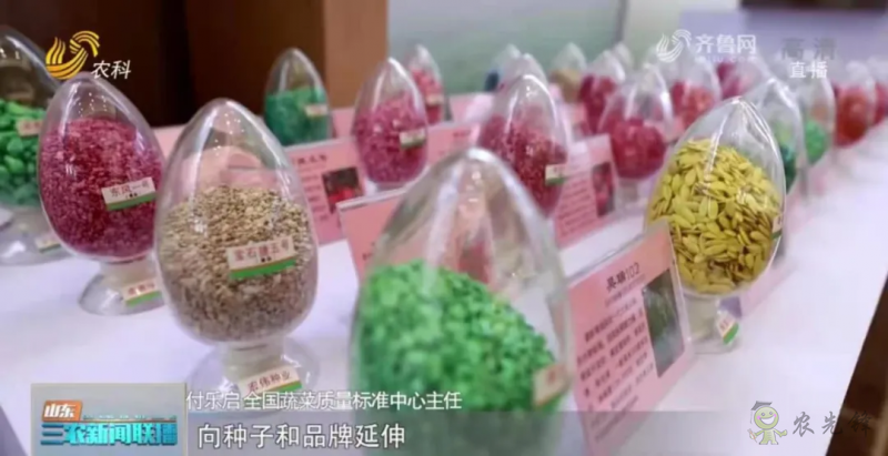 “壽光標(biāo)準(zhǔn)”向全國輸出 推動蔬菜產(chǎn)業(yè)提檔升級