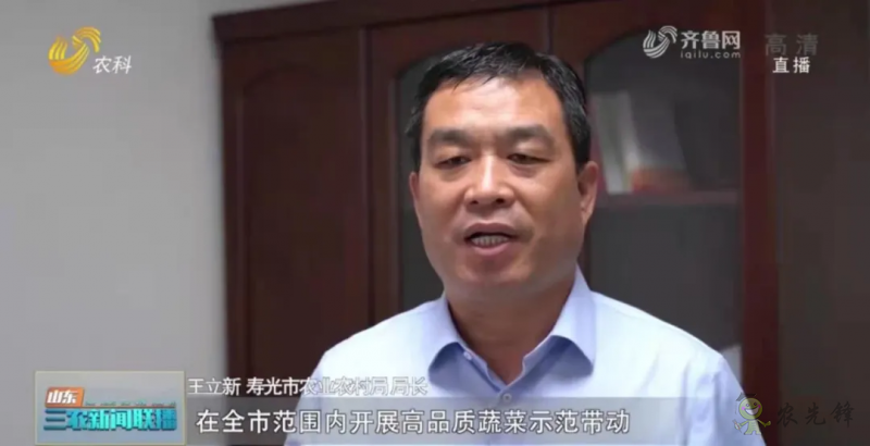 “壽光標(biāo)準(zhǔn)”向全國輸出 推動蔬菜產(chǎn)業(yè)提檔升級