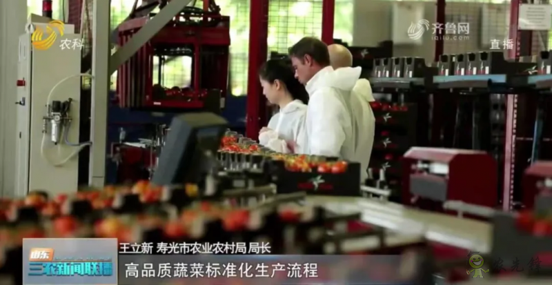 “壽光標(biāo)準(zhǔn)”向全國輸出 推動蔬菜產(chǎn)業(yè)提檔升級