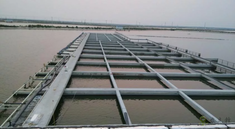 2021年農業農村部重大引領性技術發布！