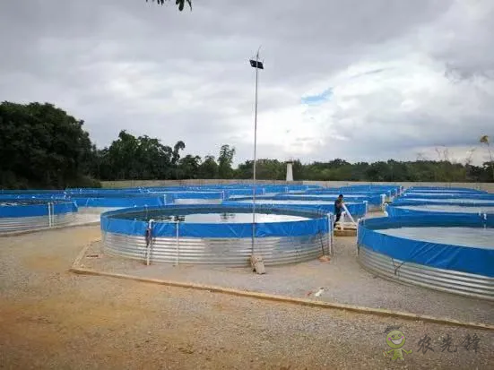 2021年農業農村部重大引領性技術發布！