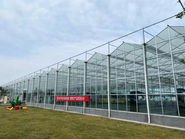 江蘇：全省“一張網”，兜牢農產品質量