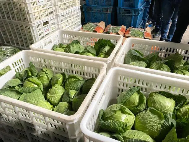 江蘇：全省“一張網”，兜牢農產品質量