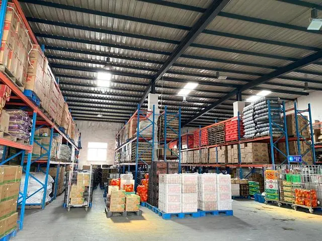 江蘇：全省“一張網”，兜牢農產品質量