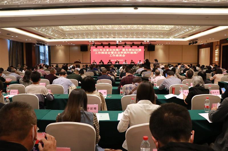 廣東省農(nóng)技推廣服務(wù)驛站創(chuàng)建工作推進(jìn)會(huì)在江門(mén)舉行 大力實(shí)施鄉(xiāng)村振興科技支撐行動(dòng) 為農(nóng)業(yè)高質(zhì)量發(fā)展賦能