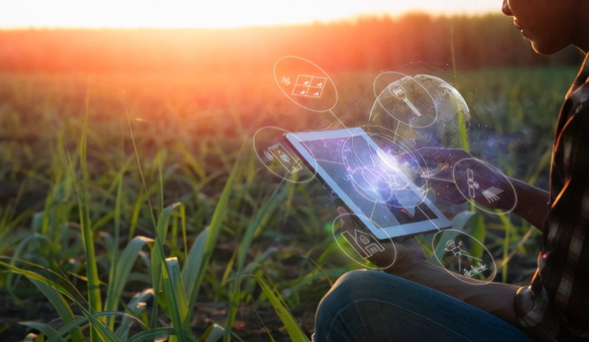 「國際視野」農(nóng)業(yè)機器人助力自動化種植與生產(chǎn)