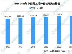 【創業復盤】搞農業，多大規模合適？