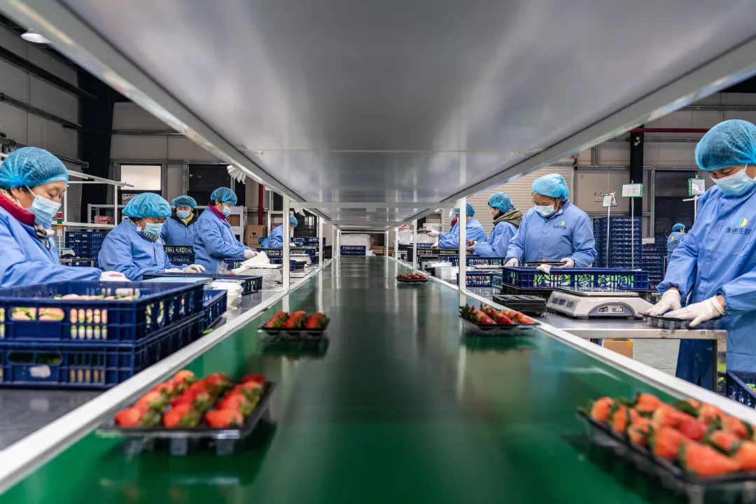 南京市溧水區(qū)：打造“三品一標”金招牌 鋪就農(nóng)民致富幸福路