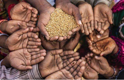 產需基本平衡，為何全球仍面臨糧食危機