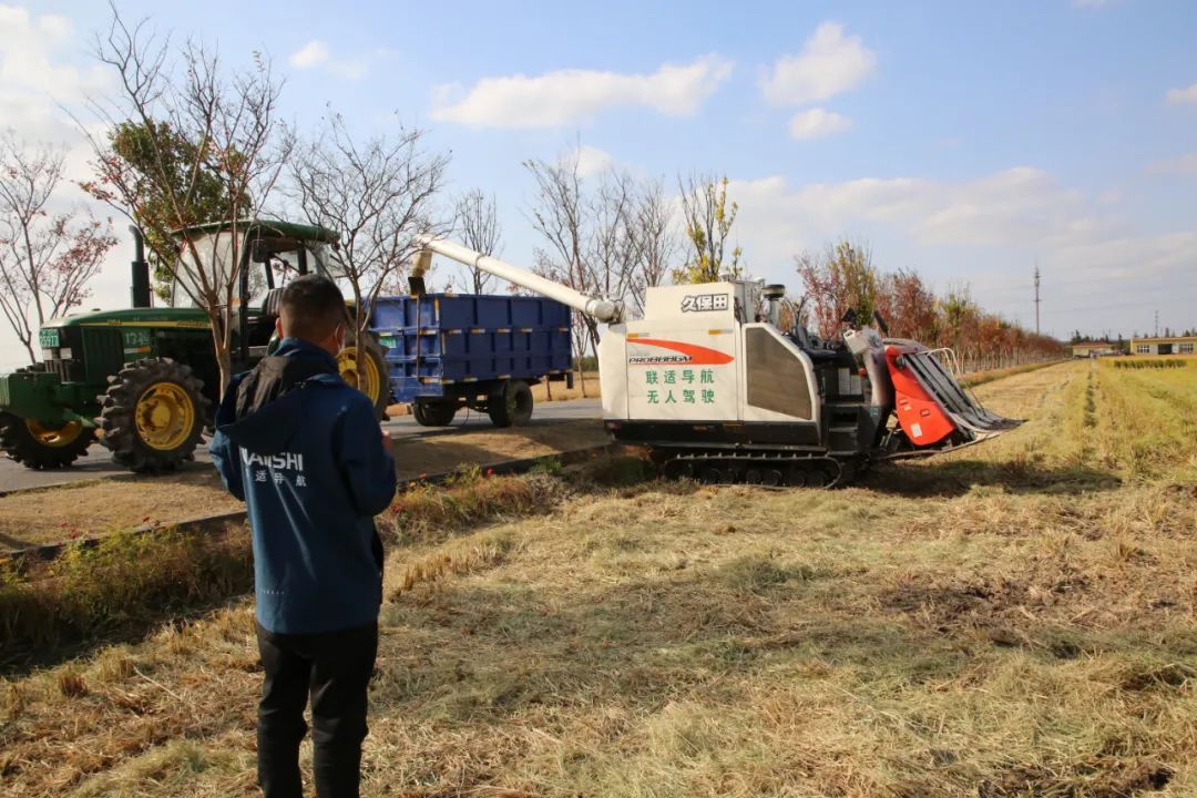 嘉定：“無人化秋收”提高作業(yè)效率